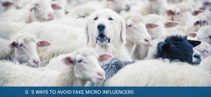 5 Ways to Avoid Fake Micro Influencers